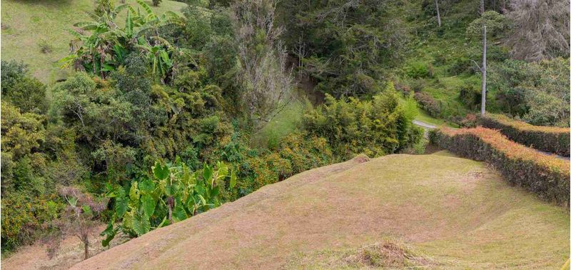 Lote en Venta en Rionegro, Rionegro-8