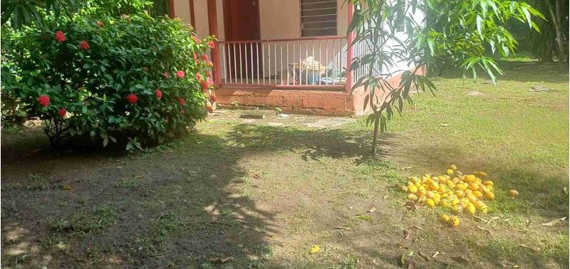 Casa en Venta en Santa Fé De Antioquia, Santa Fe Antioquia-9