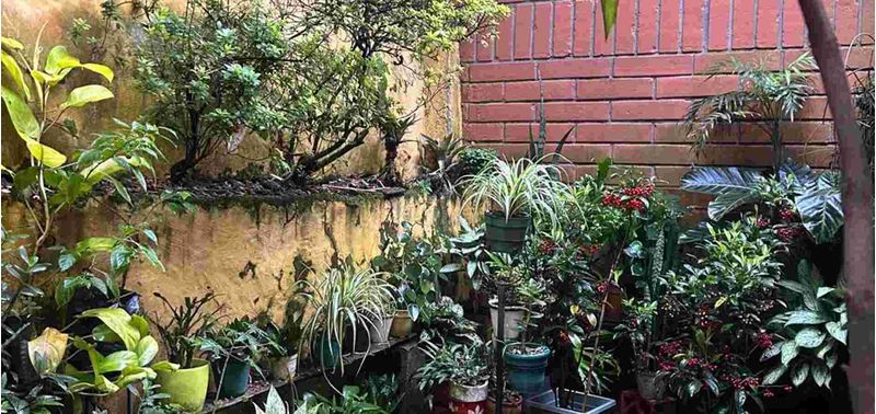 Casa en Venta en Envigado, Loma del Chocho-16