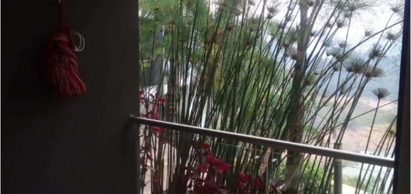 Casa en Venta en Peñol, Peñol-4