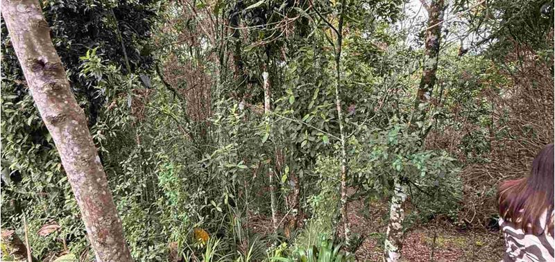 Casa en Venta en Medellín, Corregimiento Santa Elena-21