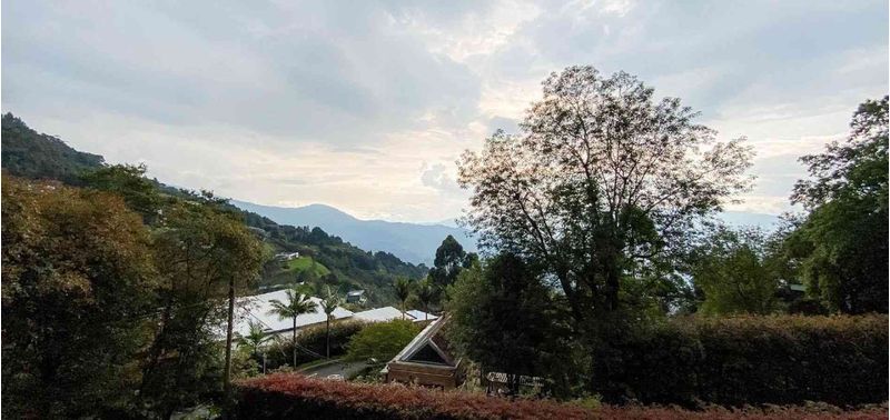 Casa en Venta en Envigado, Alto De Palmas-29