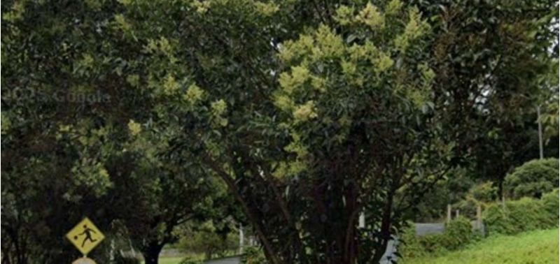 Lote en Venta en Bogotá, D.C., Club de Los Lagartos-4