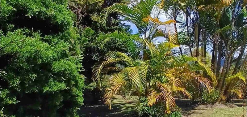 Casa en Venta en Peñol, Peñol-16