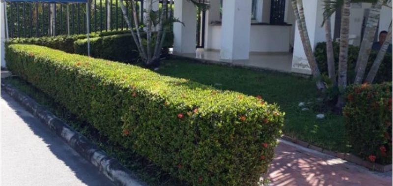 Lote en Venta en Flandes, Flandes-6