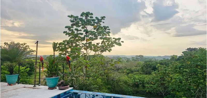 Casa en Venta en Guarne, La Brizuela-2