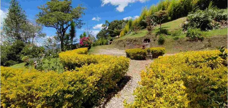Casa en Venta en Peñol, Peñol-20