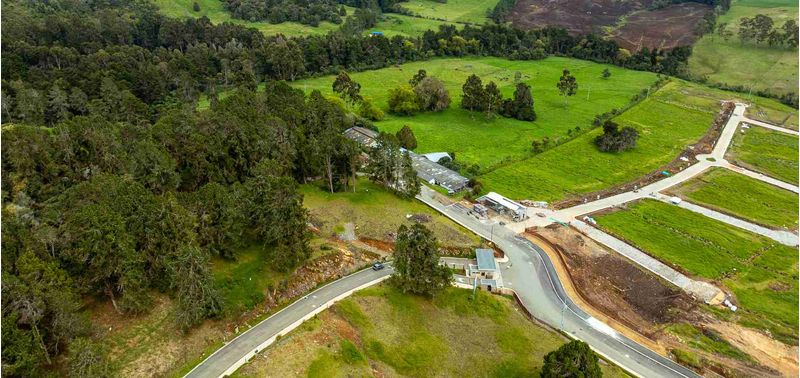Lotes en Venta Proyecto Altos de Bracamonte, Envigado