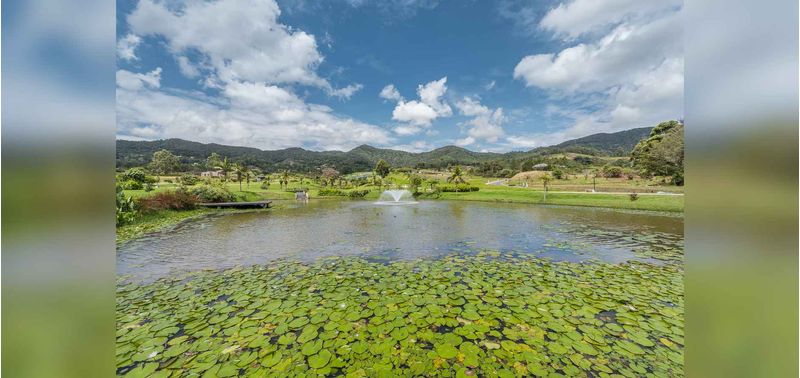Lotes en Venta Proyecto Reserva Silvestre, La Ceja-3