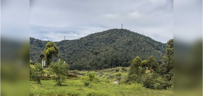 Lotes en Venta Proyecto Reserva Silvestre, La Ceja-6
