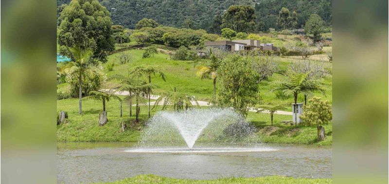 Lotes en Venta Proyecto Reserva Silvestre, La Ceja-7