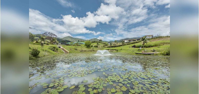 Lotes en Venta Proyecto Reserva Silvestre, La Ceja-8