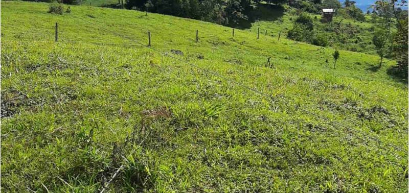 Casa en Venta en Armero, Armero (Guayabal)