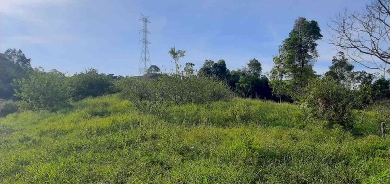 Casa en Venta en Armero, Armero (Guayabal)-4