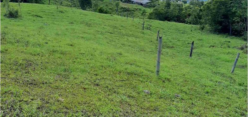 Casa en Venta en Armero, Armero (Guayabal)-16