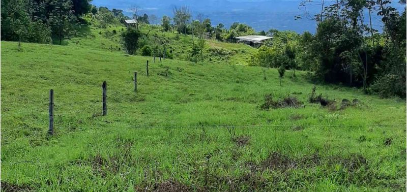 Casa en Venta en Armero, Armero (Guayabal)-17