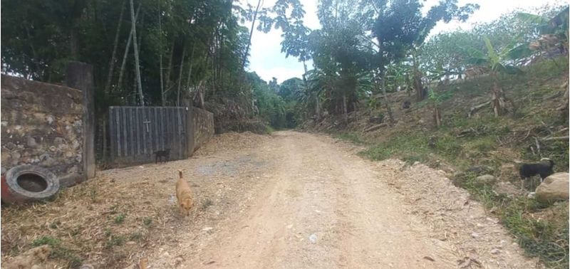 Casa en Venta en Armero, Armero (Guayabal)-18