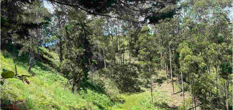 Lote en Venta en Guatapé, Vertedero-10