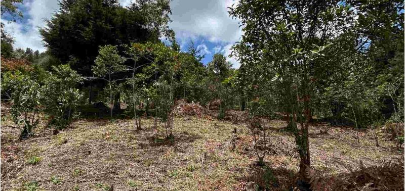 Lote en Venta en Medellín, Corregimiento Santa Elena-0