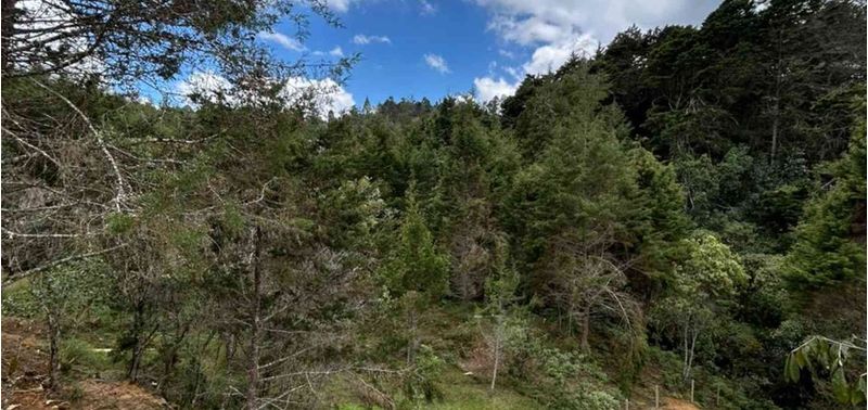 Lote en Venta en Medellín, Corregimiento Santa Elena-3