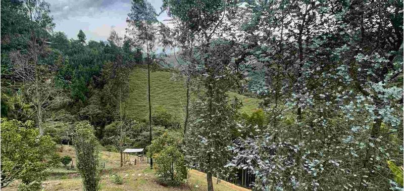 Casa en Venta en Retiro, El Portento-21