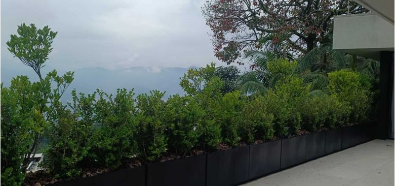 Casa en Venta en Envigado, Las Palmas-6
