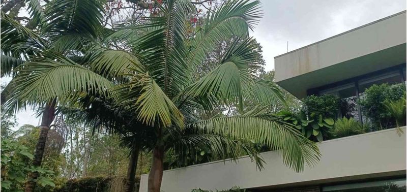 Casa en Venta en Envigado, Las Palmas-21