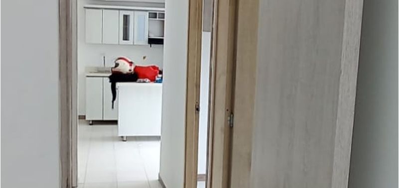 Apartamento en Venta en Caldas, La Planta-2