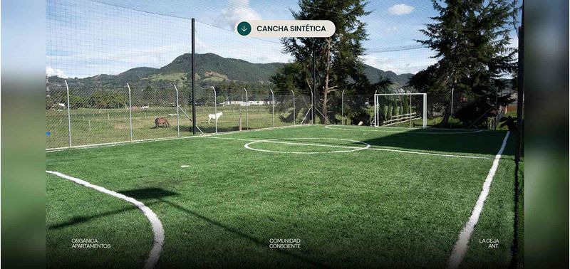 Orgánica proyecto de vivienda-8