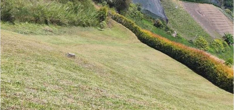 Lote en Venta en Marinilla, Marinilla-4