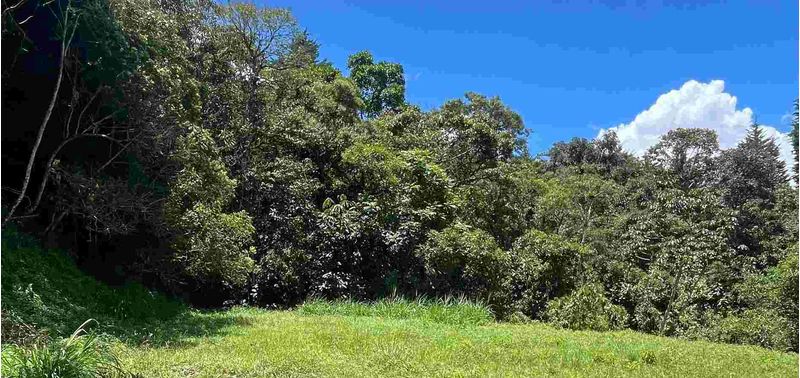 Lote en Venta en Medellín, Las Palmas-0