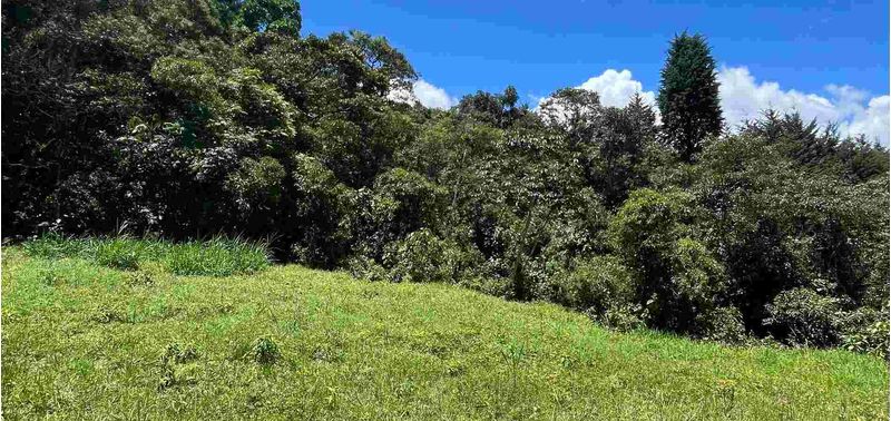 Lote en Venta en Medellín, Las Palmas-8