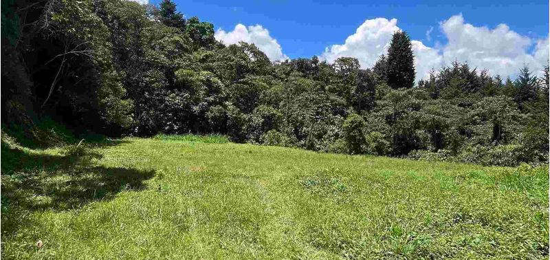 Lote en Venta en Medellín, Las Palmas-9