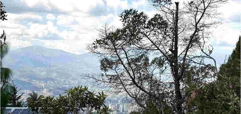 Lote en Venta en Envigado, Alto De Palmas