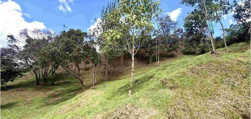Lote en Venta en Envigado, Alto De Palmas-2