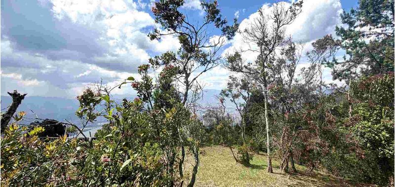 Lote en Venta en Envigado, Alto De Palmas-3