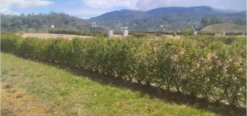 Lote en Venta en Retiro, Pantanillo-5