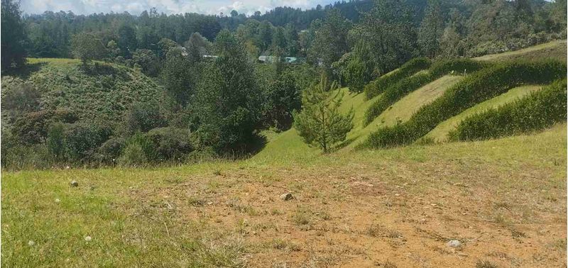 Lote en Venta en Retiro, Pantanillo-6