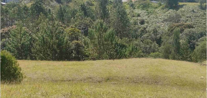 Lote en Venta en Retiro, Pantanillo-9