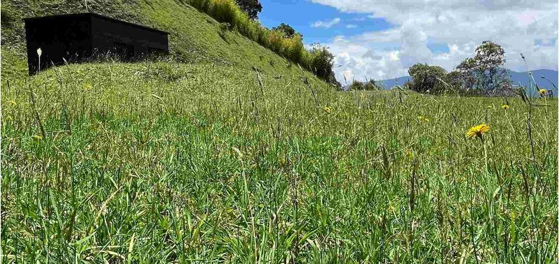 Lote en Venta en Envigado, Las Palmas-0