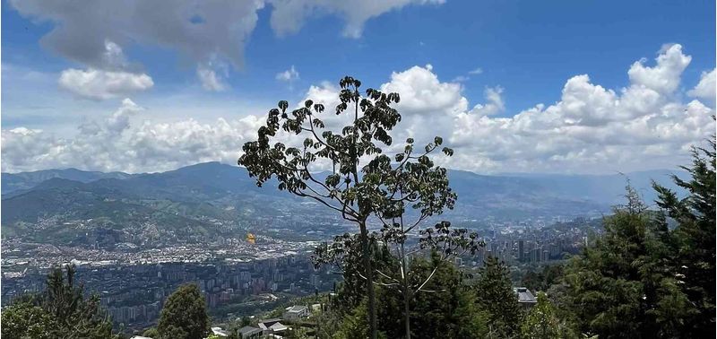 Lote en Venta en Envigado, Las Palmas-5