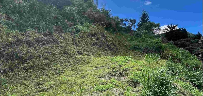 Lote en Venta en Envigado, Las Palmas-4