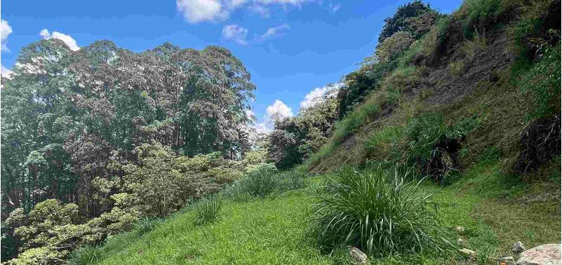 Lote en Venta en Envigado, Las Palmas-7