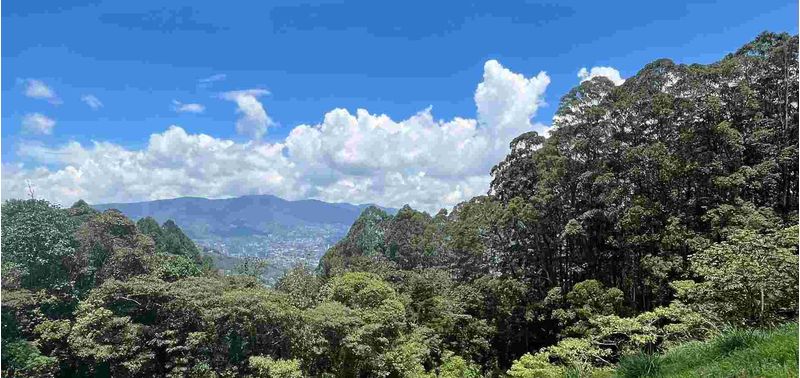 Lote en Venta en Envigado, Las Palmas-8