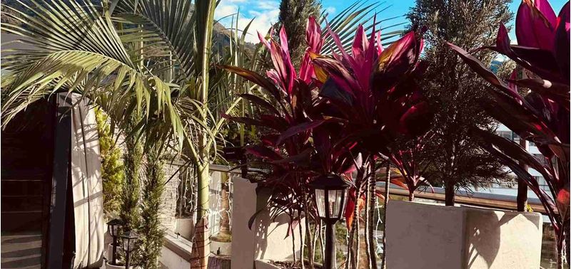 Apartamento en Venta en Envigado, Loma Del Escobero-14