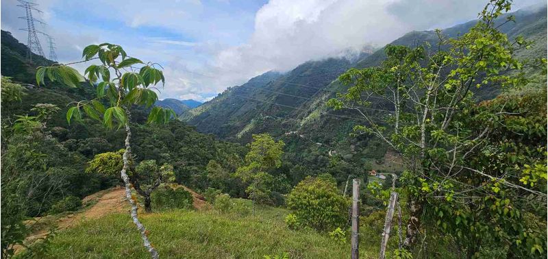 Lote en Venta en Santa Bárbara, Santa Bárbara-1