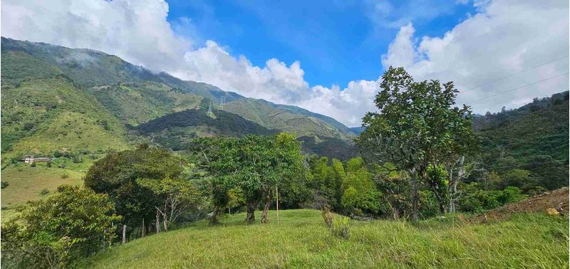 Lote en Venta en Santa Bárbara, Santa Bárbara-2