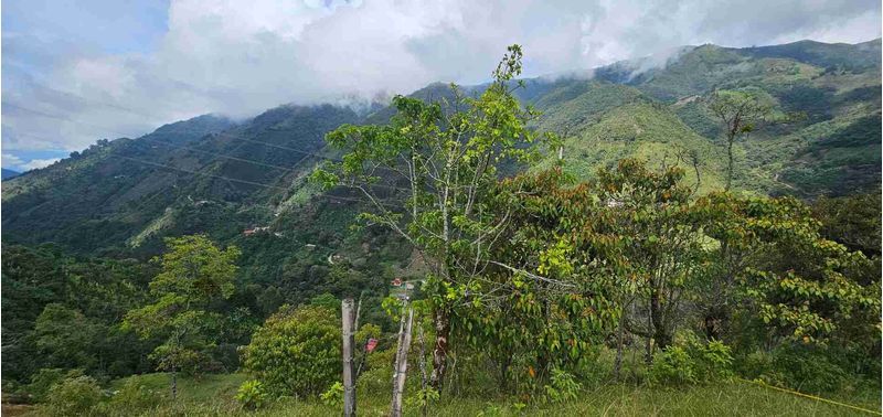 Lote en Venta en Santa Bárbara, Santa Bárbara-3