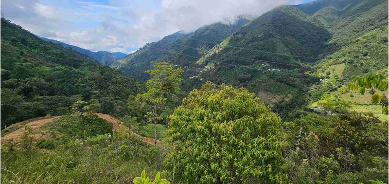 Lote en Venta en Santa Bárbara, Santa Bárbara-4