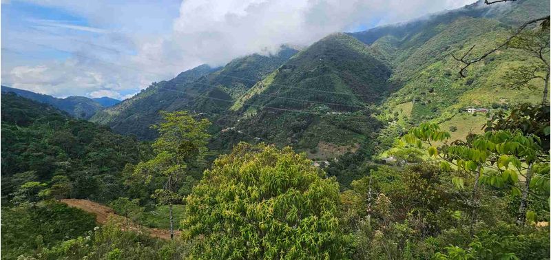 Lote en Venta en Santa Bárbara, Santa Bárbara-5